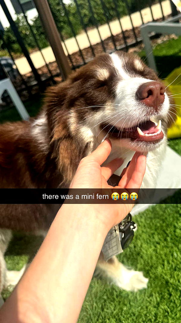 fionamaefit image ~ Altpins