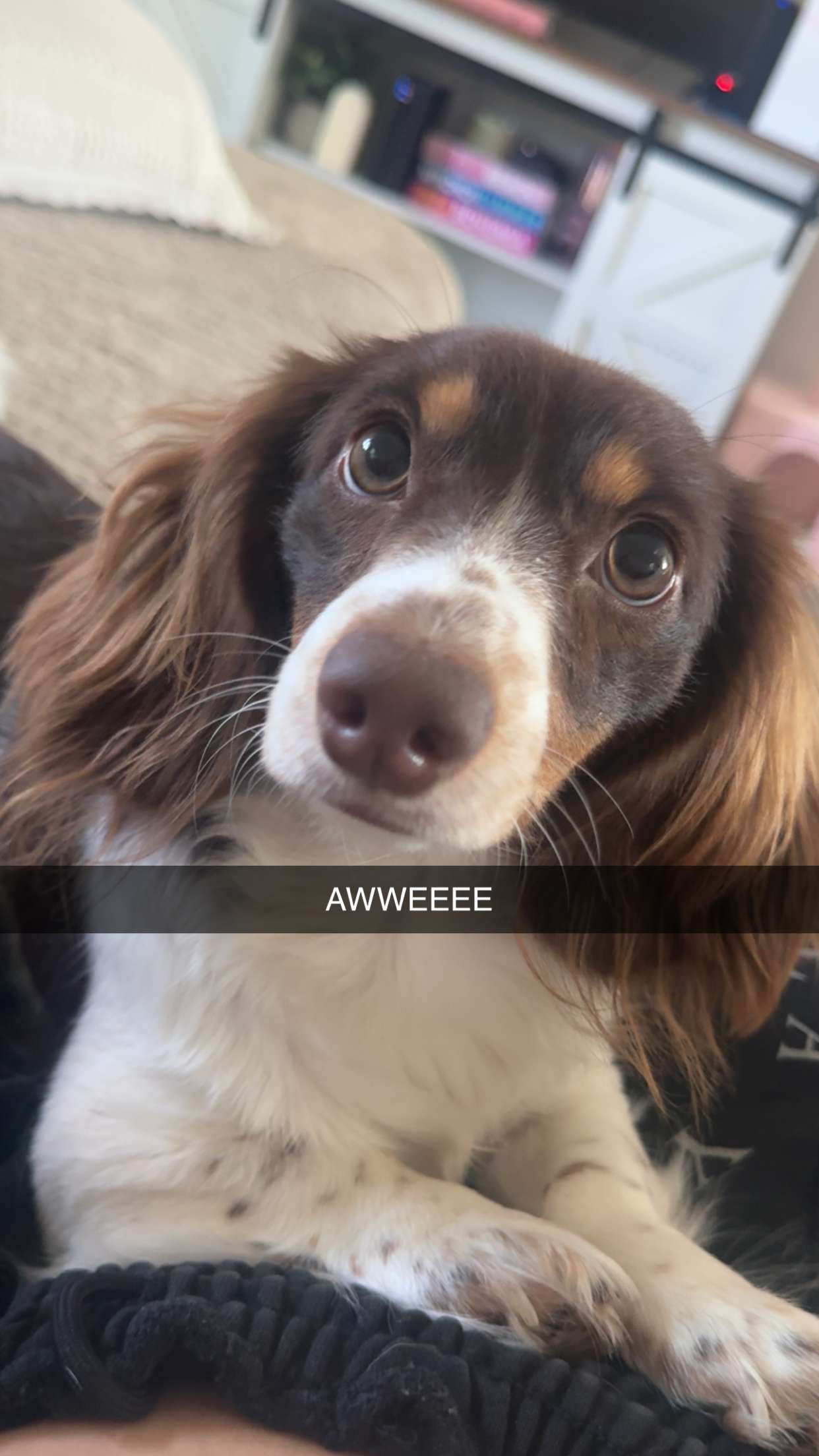 fionamaefit snapchat image archive image