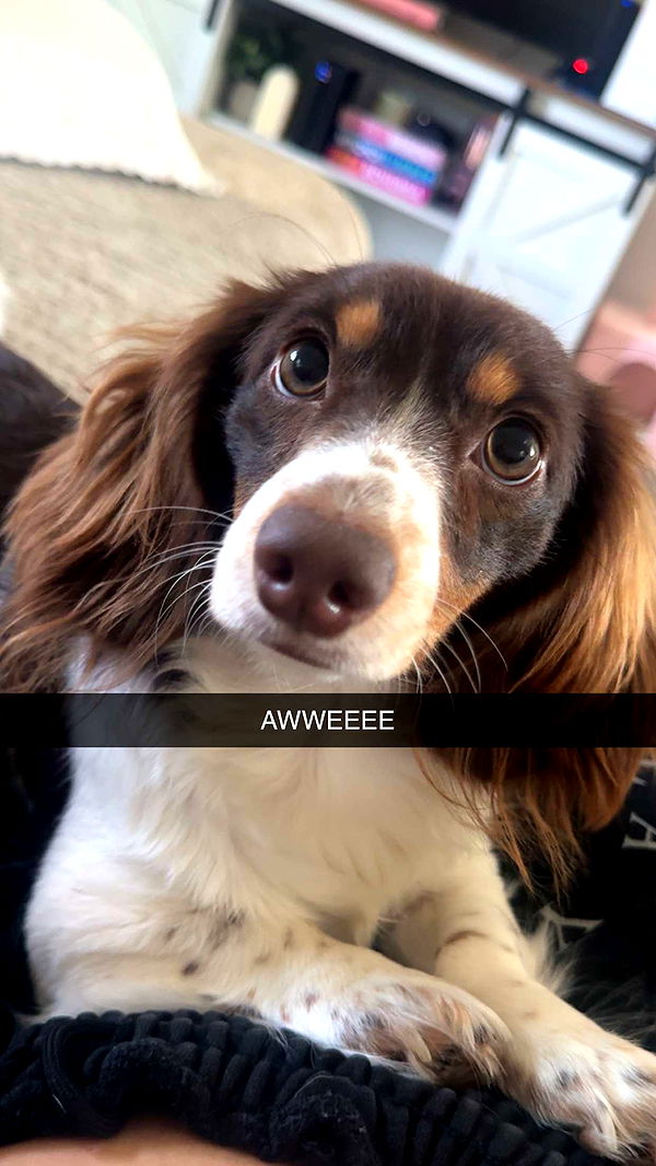 fionamaefit image ~ Altpins