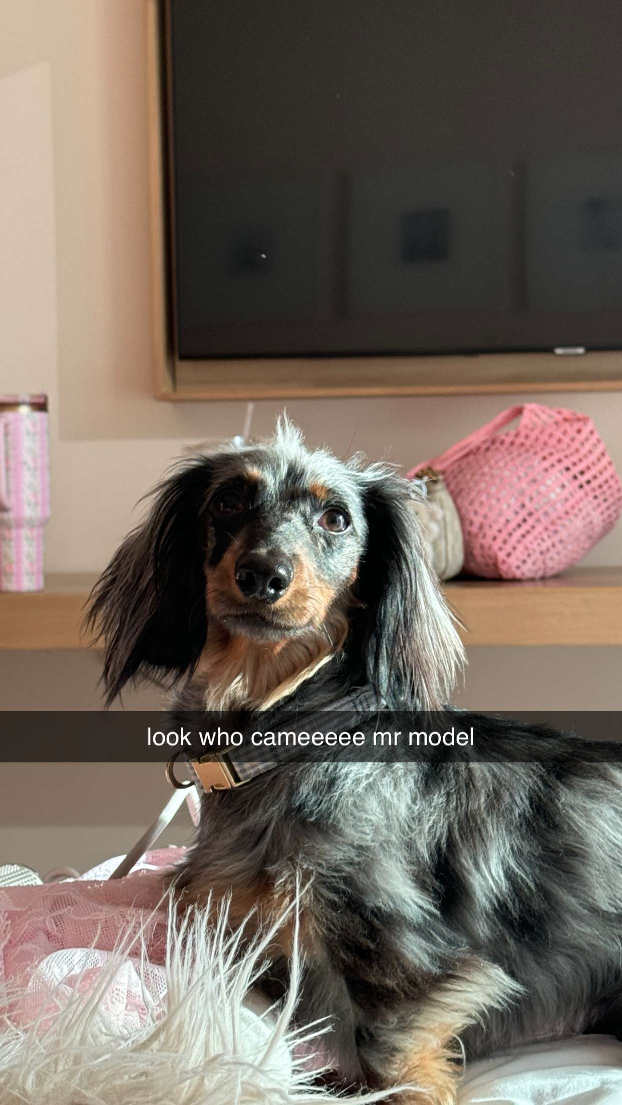 fionamaefit snapchat image archive image