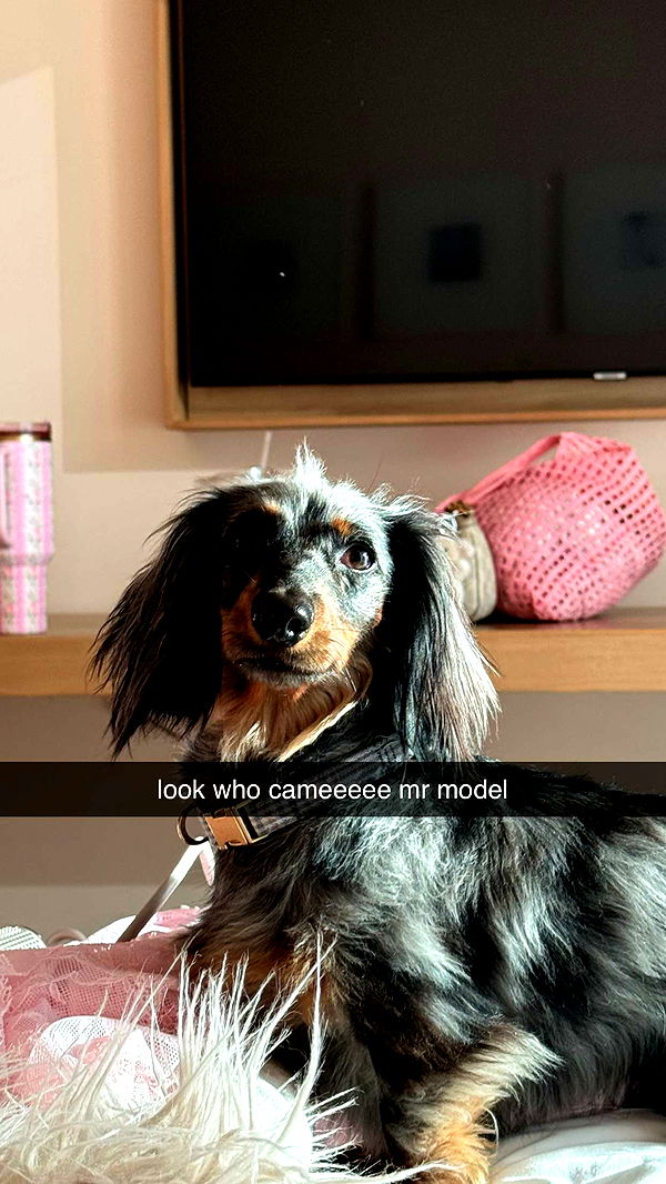 fionamaefit image ~ Altpins