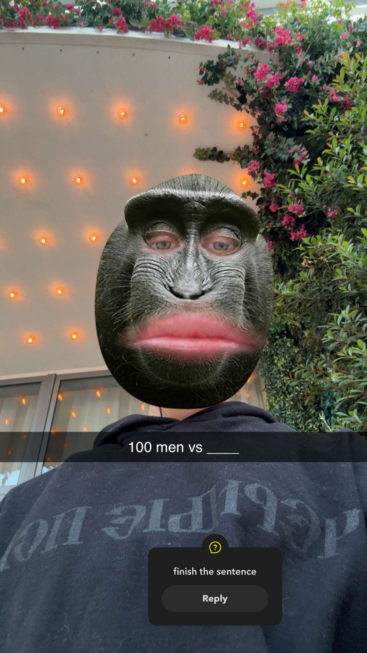 fionamaefit snapchat image archive image