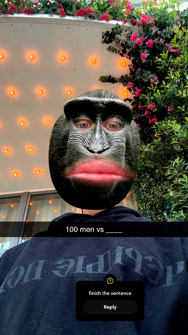 fionamaefit image ~ Altpins