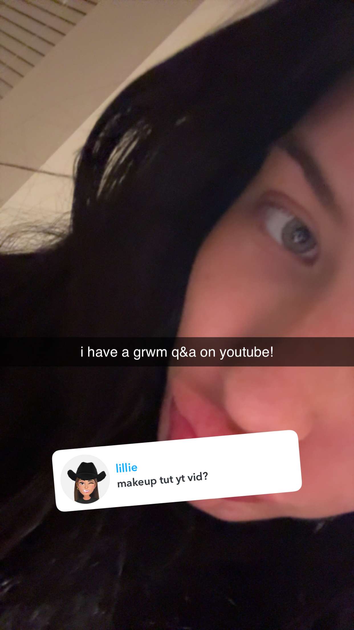 fionamaefit snapchat image archive image