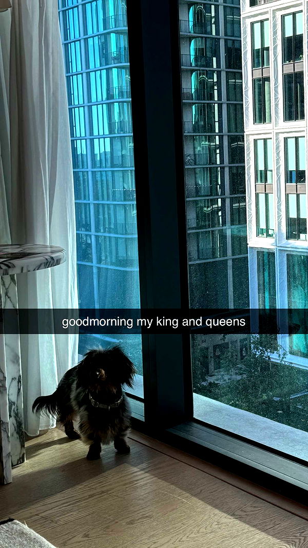 fionamaefit image ~ Altpins