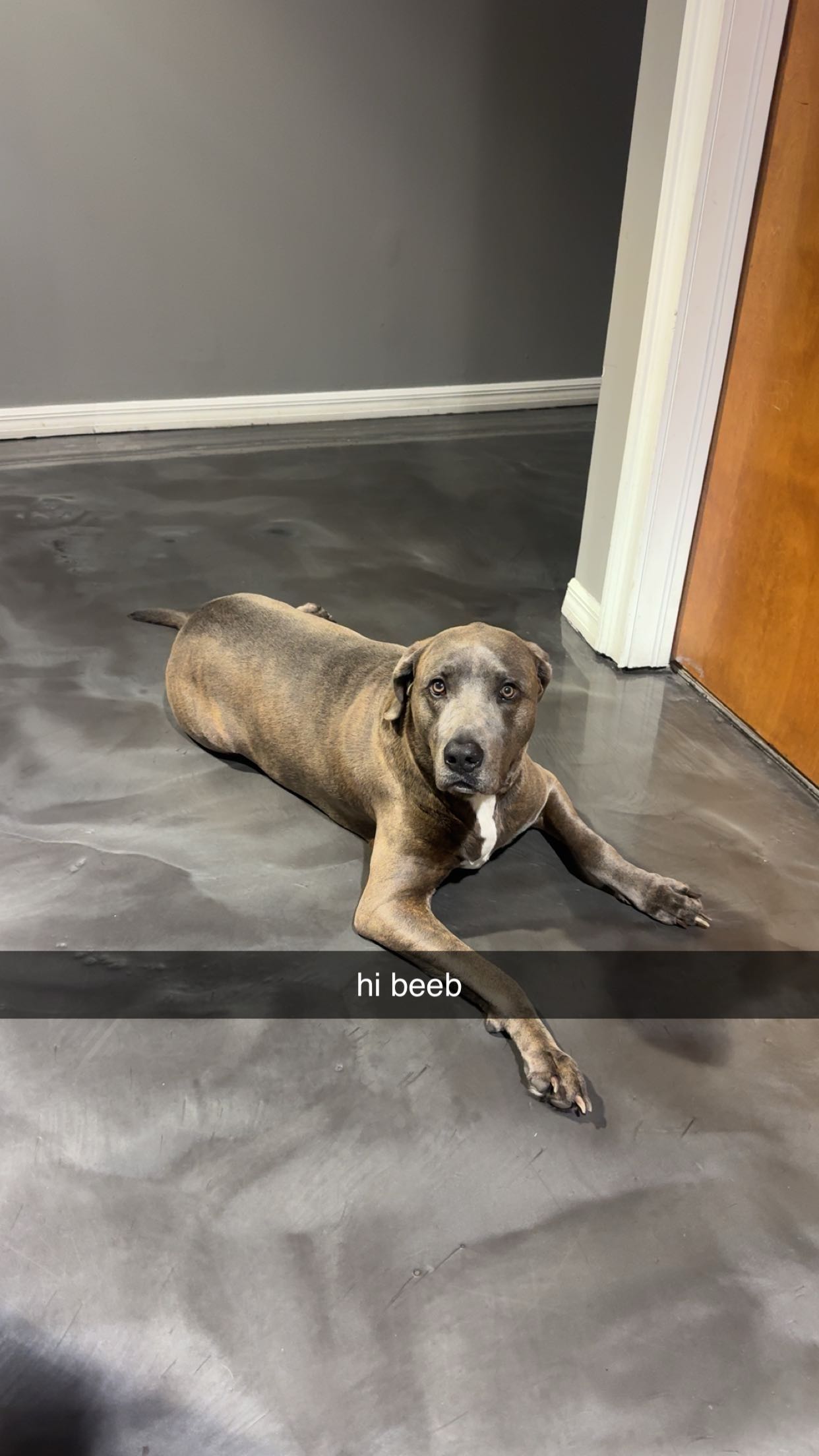 fionamaefit snapchat image archive image