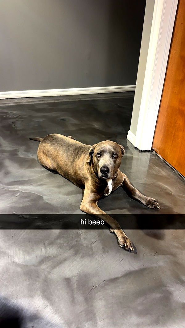 fionamaefit image ~ Altpins