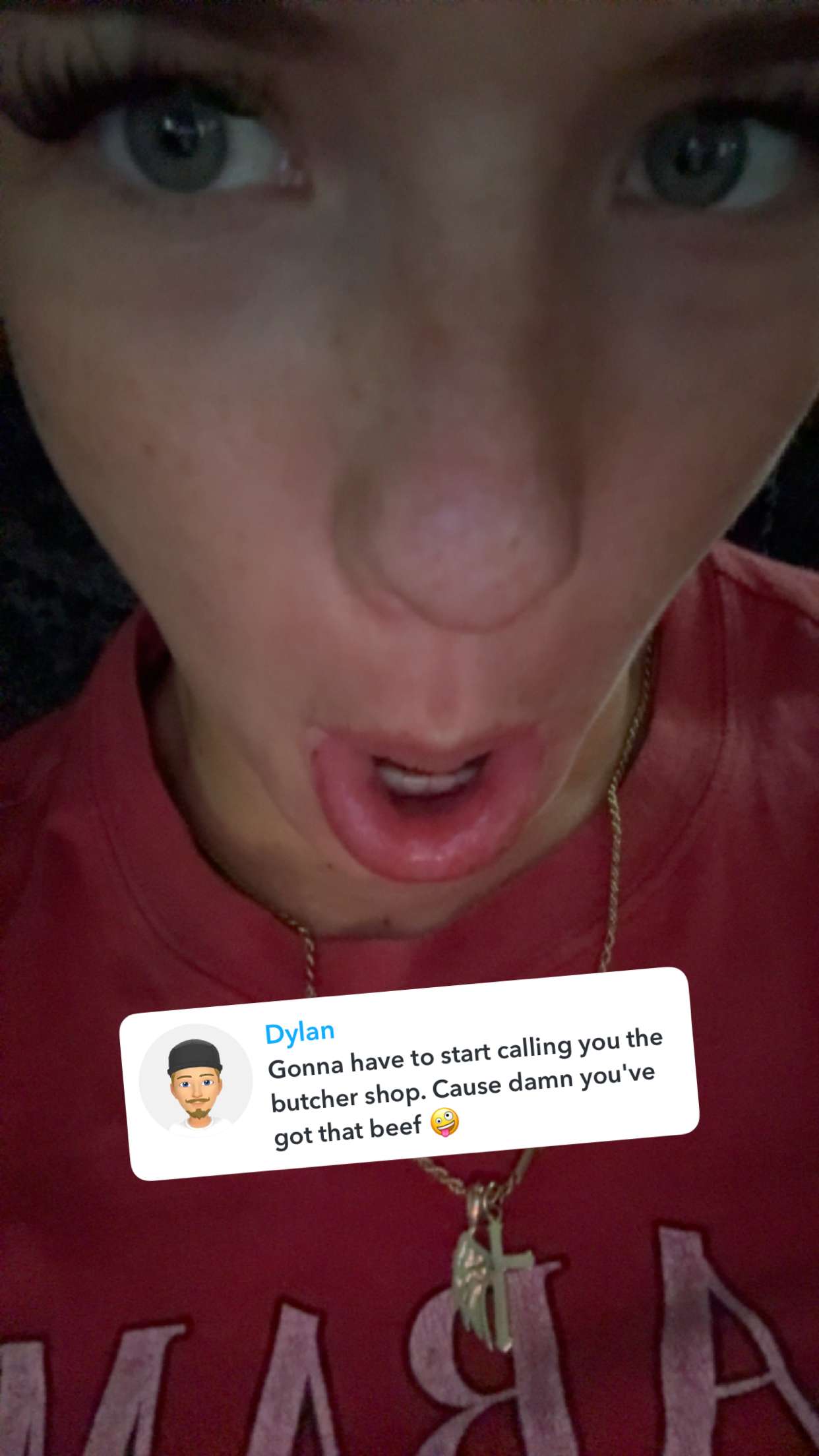 fionamaefit snapchat image archive image