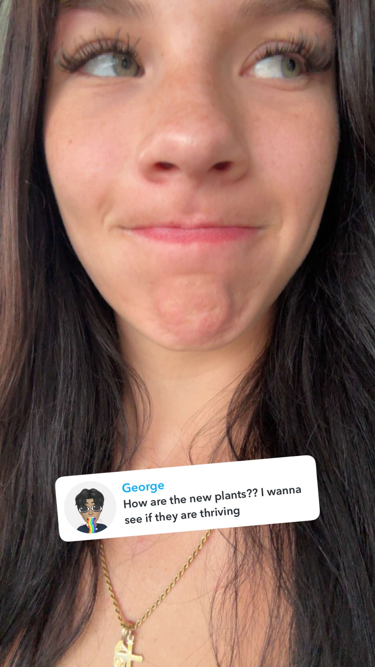 fionamaefit snapchat image archive image