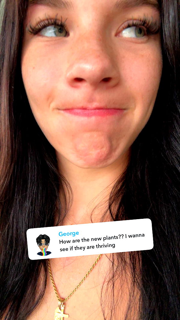 fionamaefit image ~ Altpins