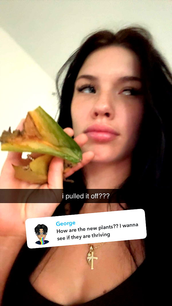 fionamaefit image ~ Altpins