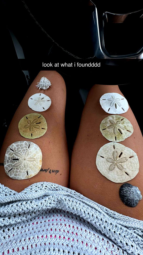 fionamaefit image ~ Altpins