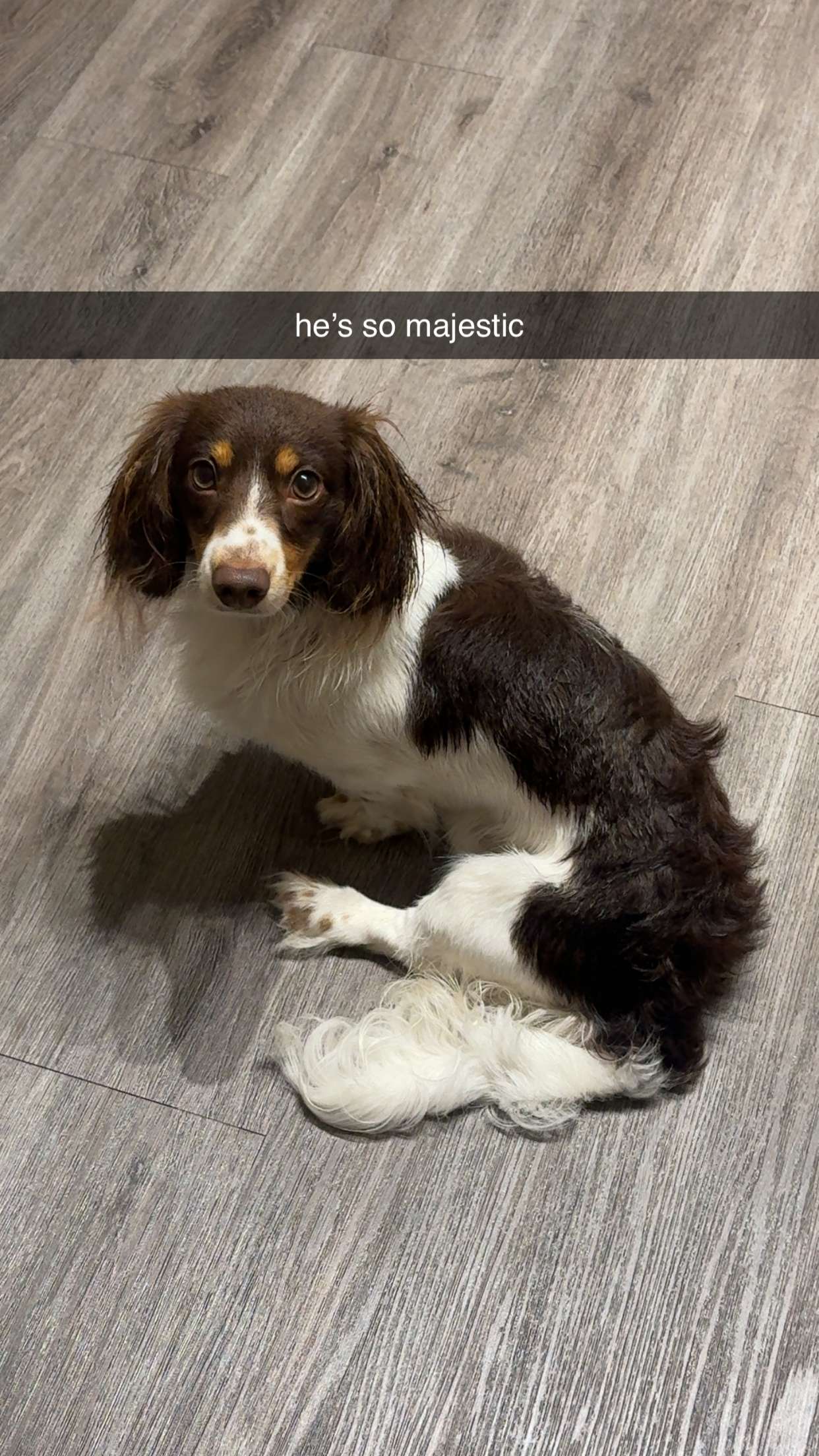 fionamaefit snapchat image archive image