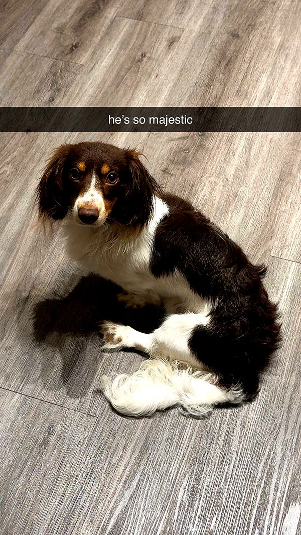 fionamaefit image ~ Altpins