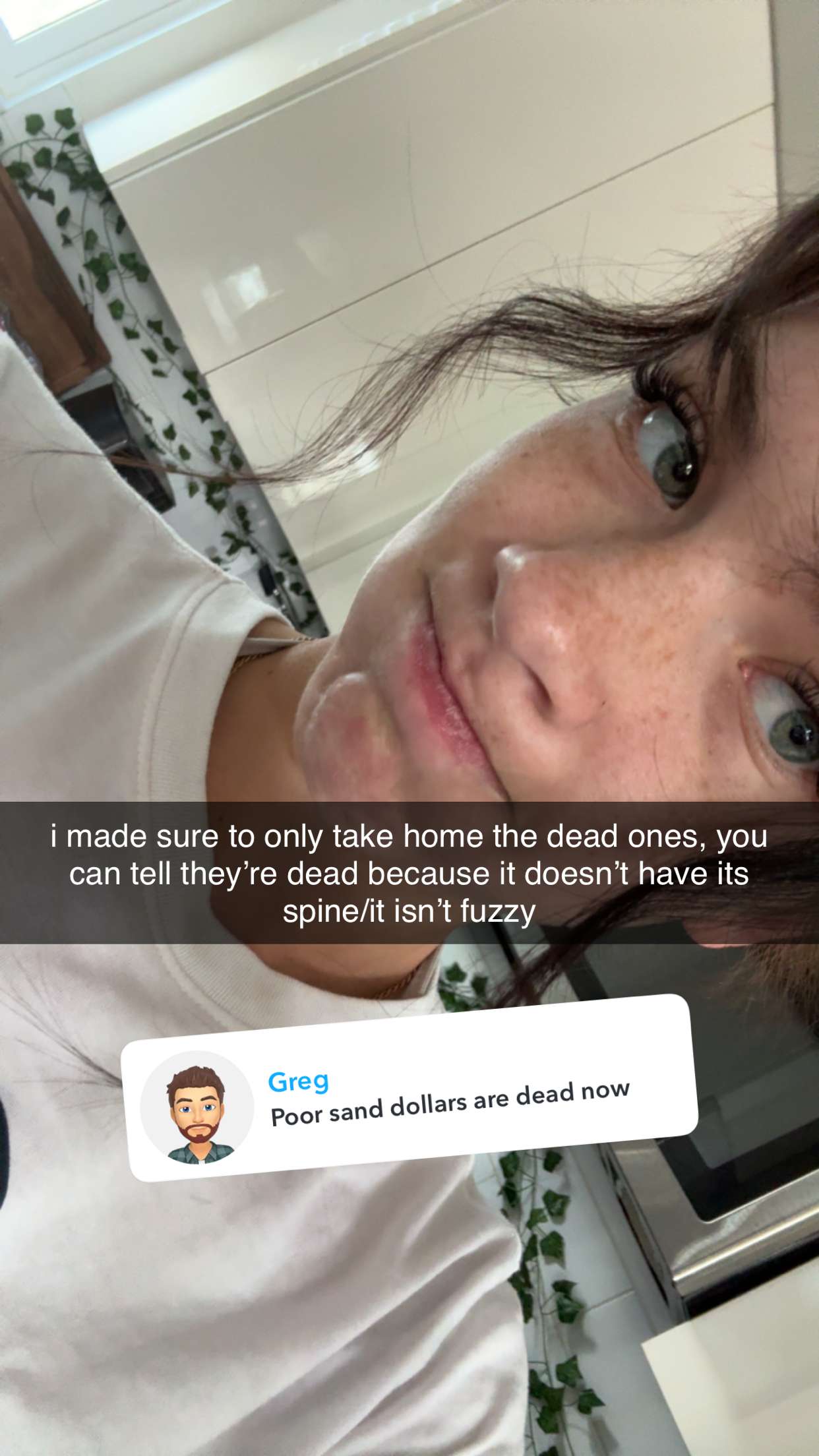 fionamaefit snapchat image archive image