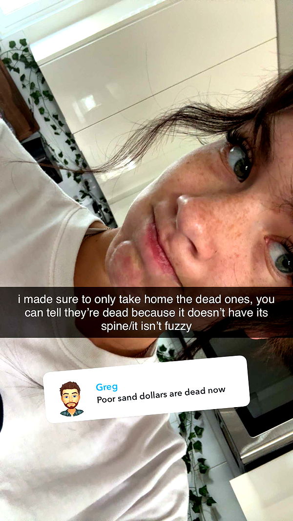 fionamaefit image ~ Altpins