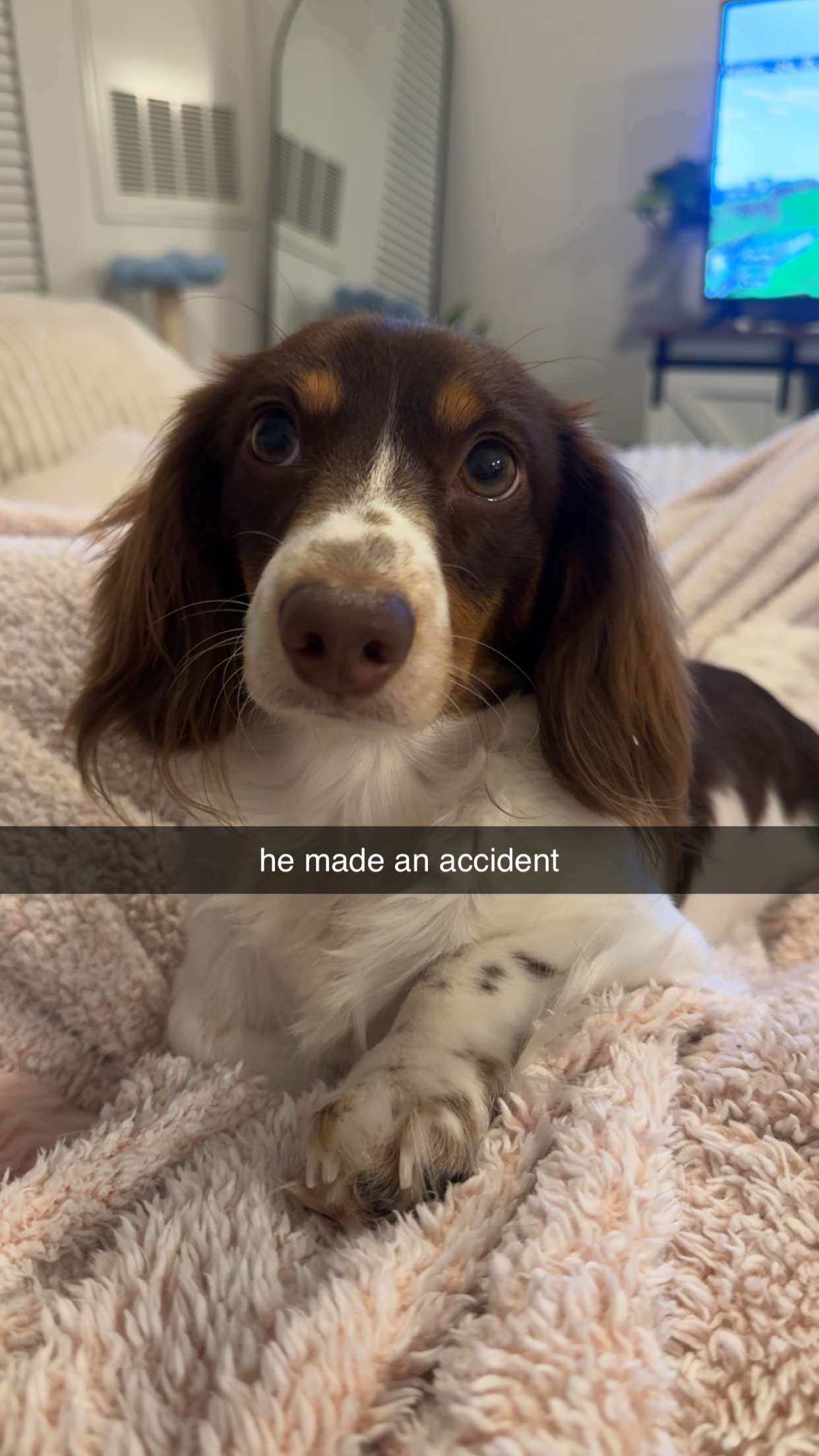 fionamaefit snapchat image archive image