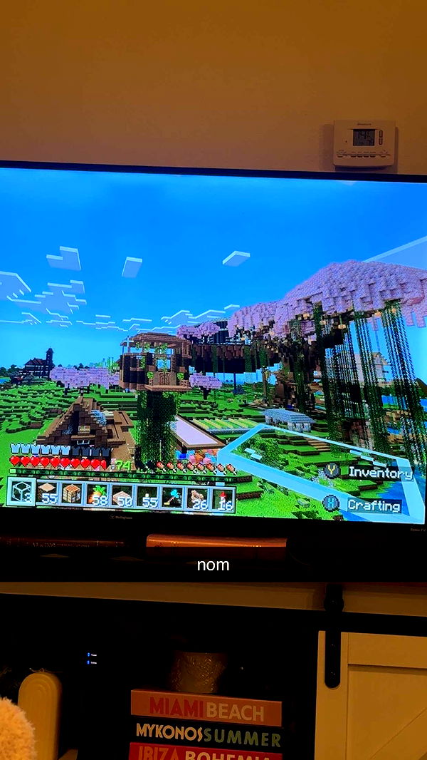 fionamaefit image ~ Altpins