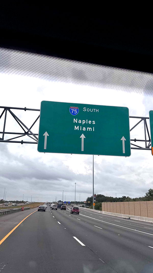 fionamaefit image ~ Altpins