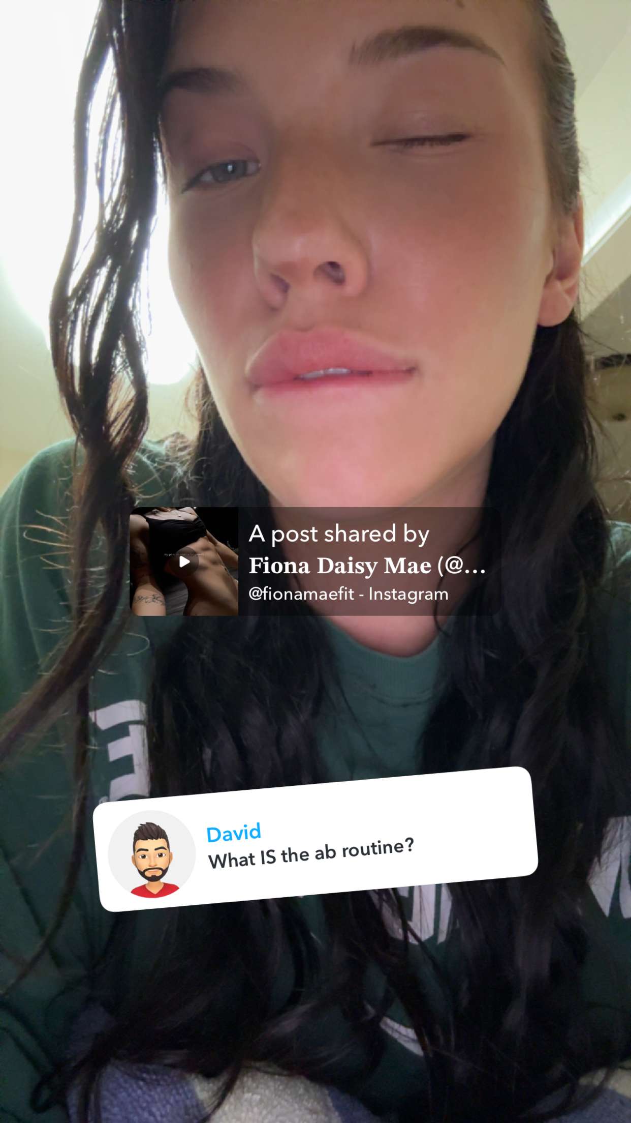 fionamaefit snapchat image archive image