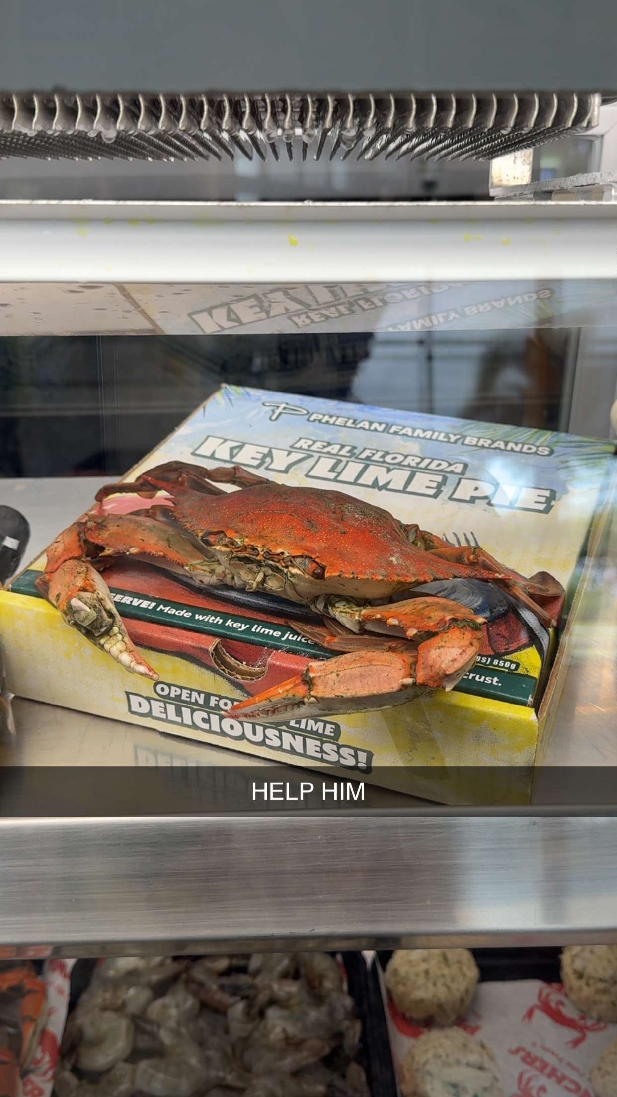 fionamaefit snapchat image archive image