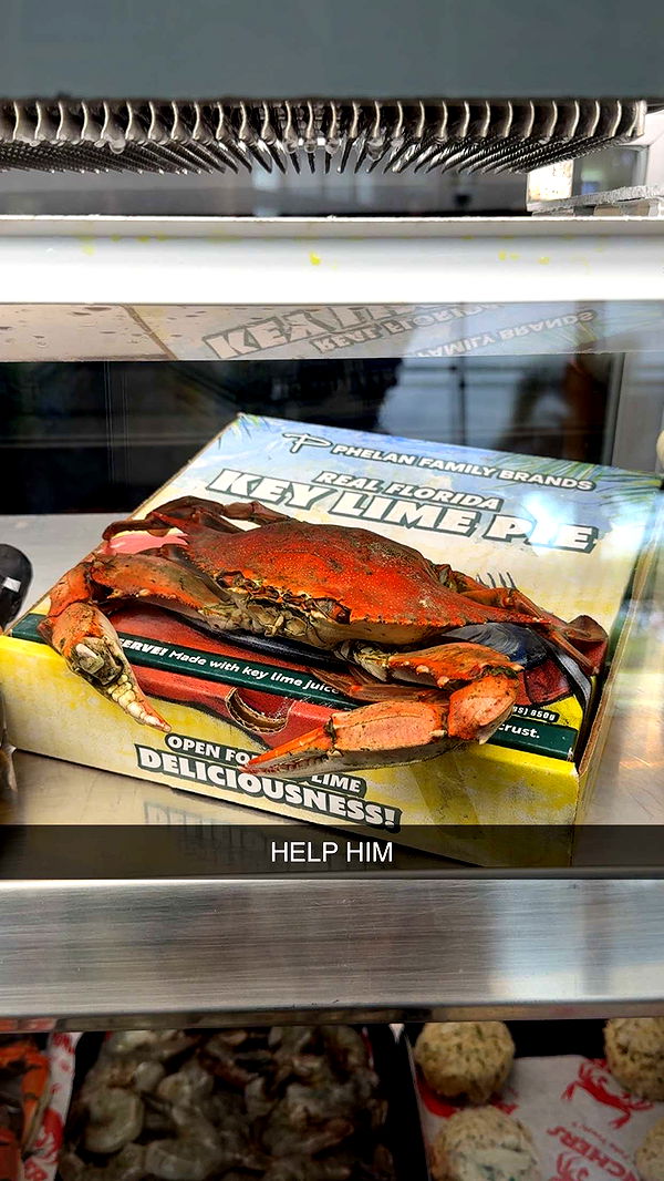 fionamaefit image ~ Altpins