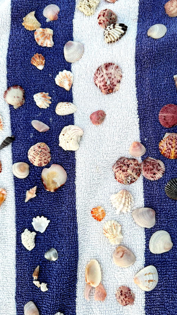 fionamaefit image ~ Altpins