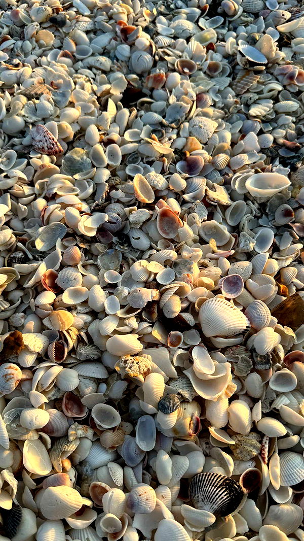 fionamaefit image ~ Altpins