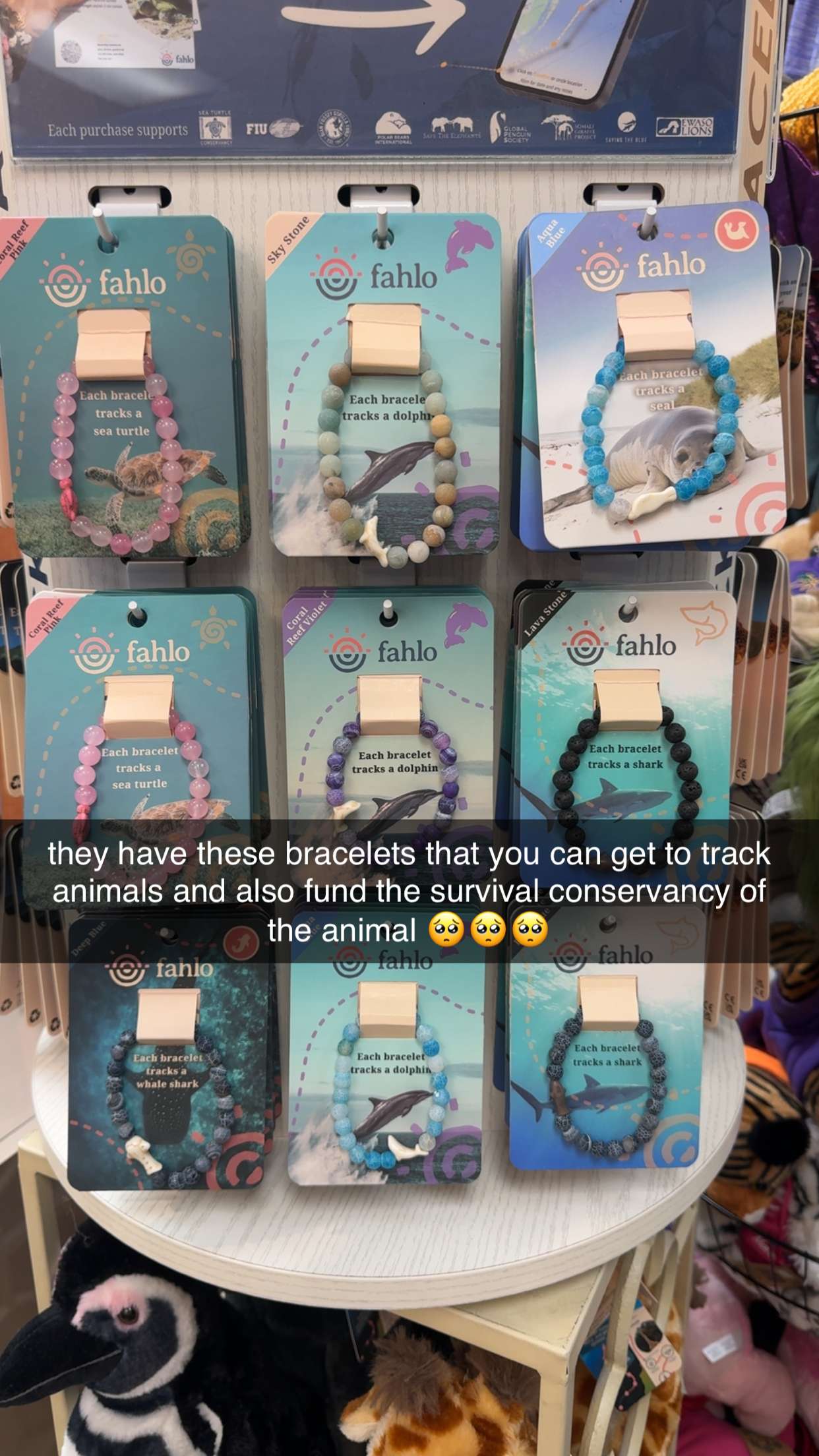 fionamaefit snapchat image archive image