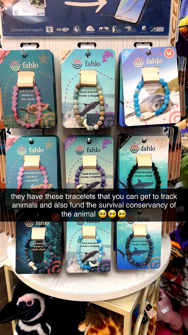 fionamaefit image ~ Altpins