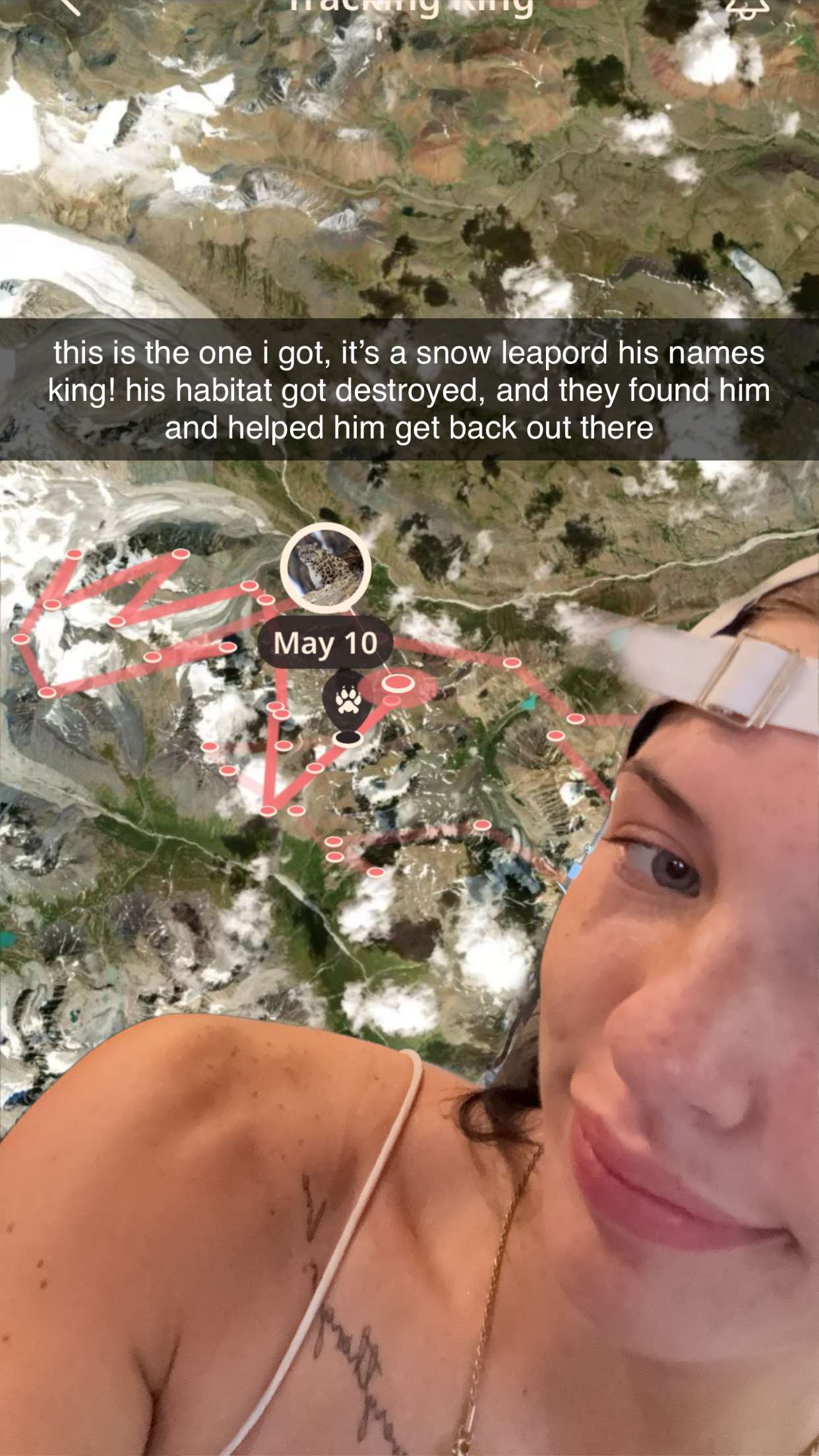 fionamaefit snapchat image archive image