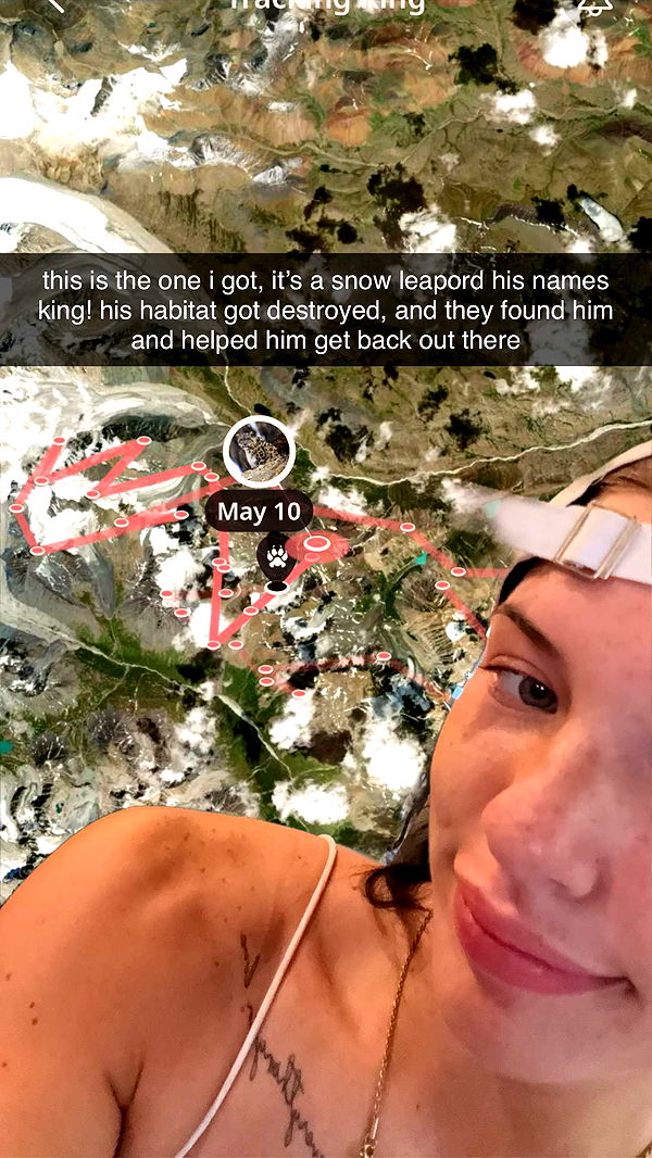 fionamaefit image ~ Altpins