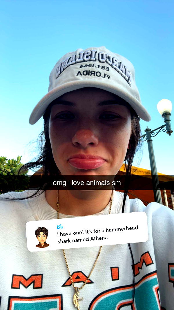 fionamaefit image ~ Altpins