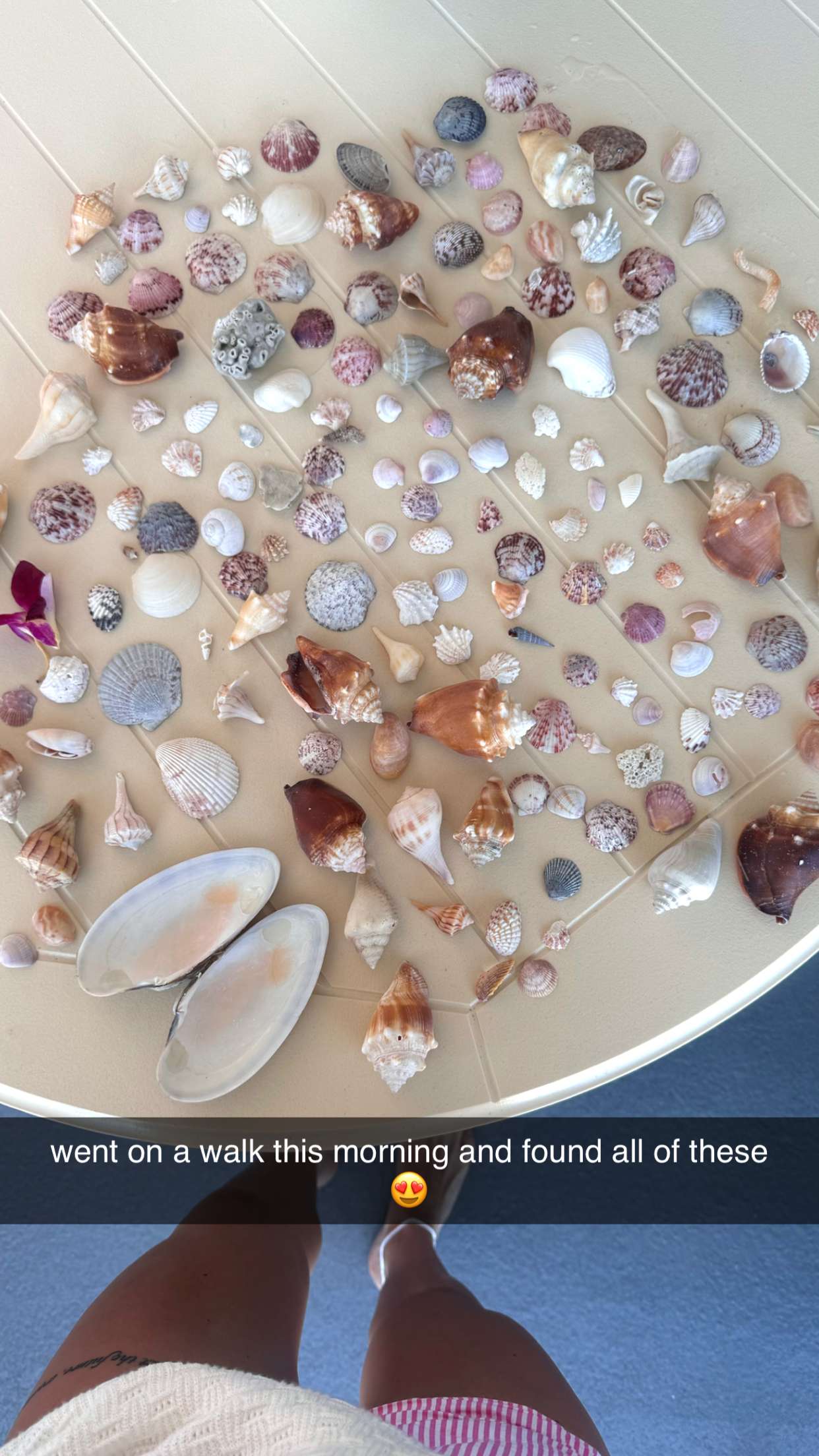 fionamaefit snapchat image archive image