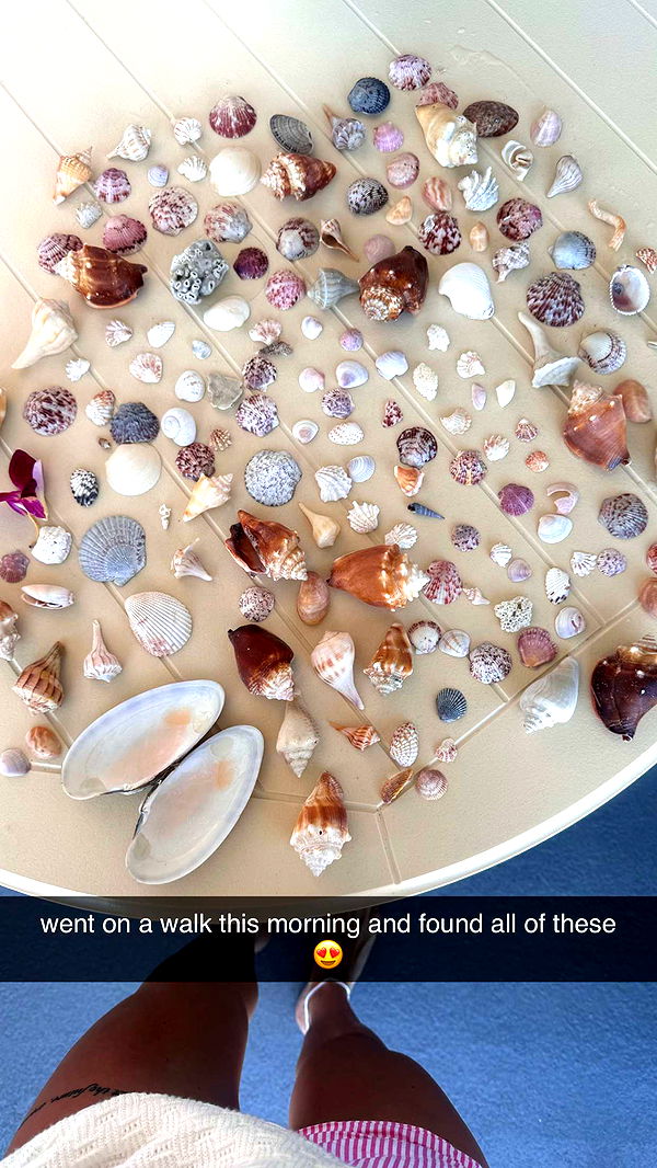 fionamaefit image ~ Altpins