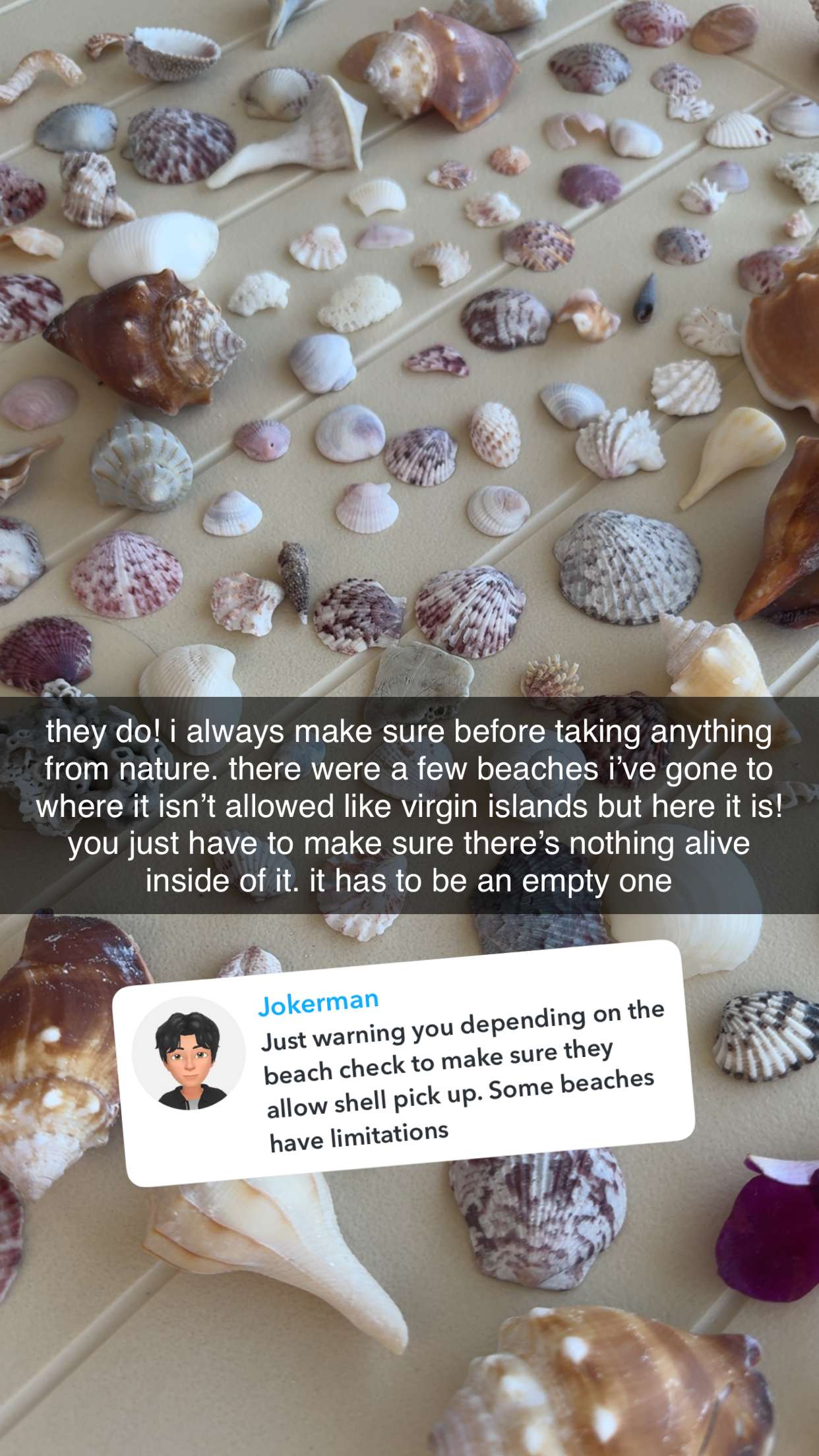 fionamaefit snapchat image archive image