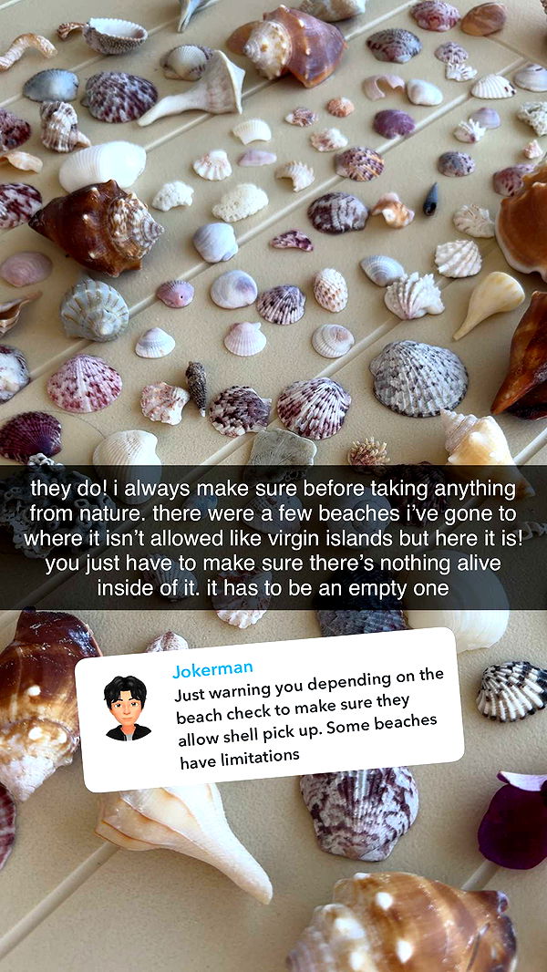 fionamaefit image ~ Altpins