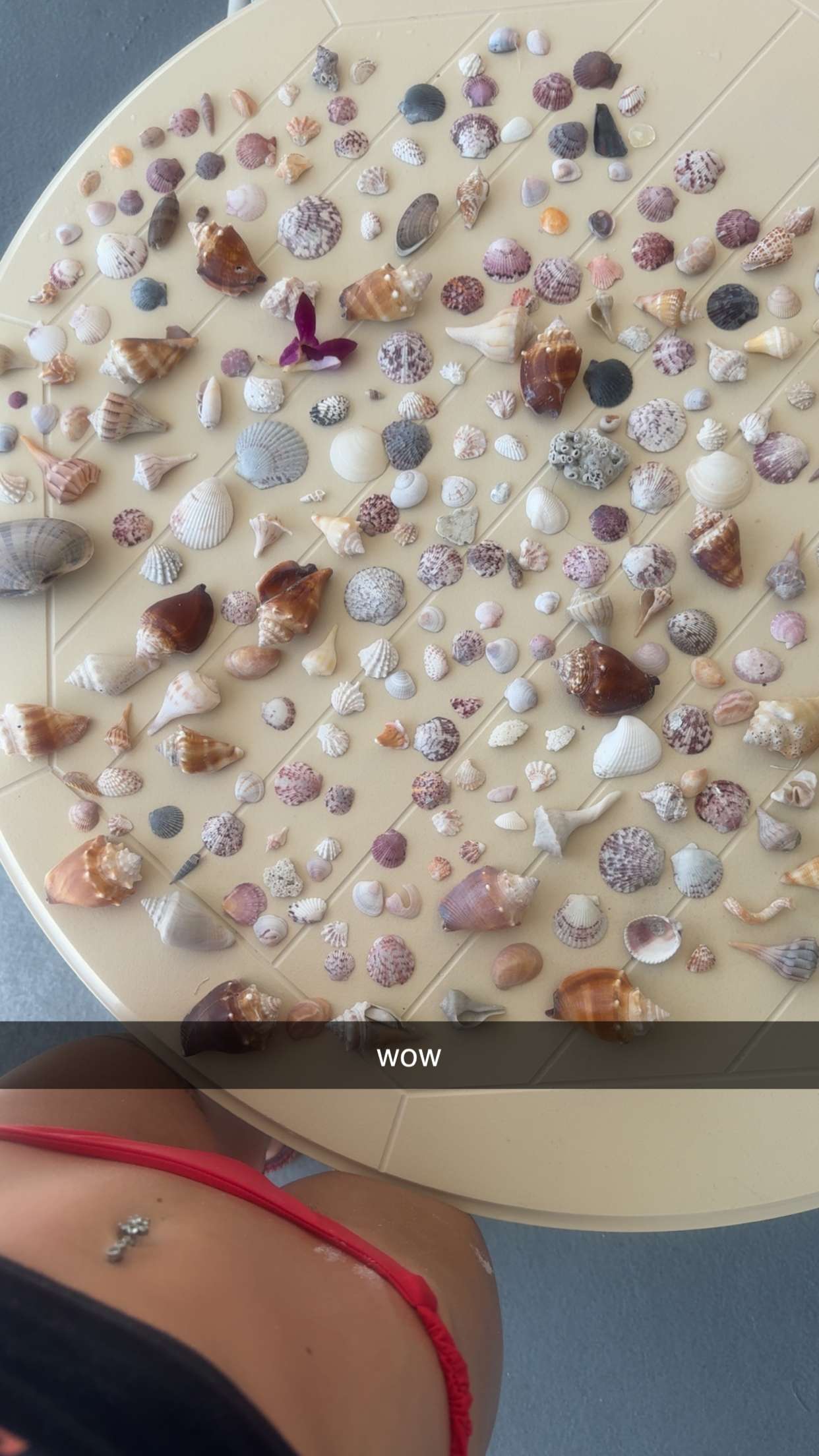 fionamaefit snapchat image archive image