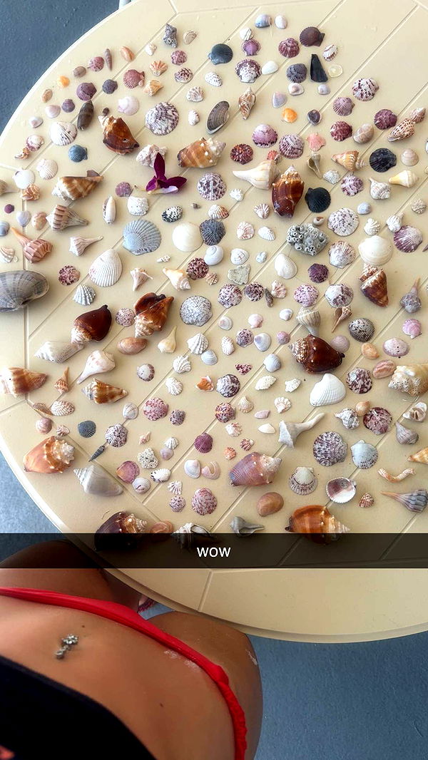 fionamaefit image ~ Altpins