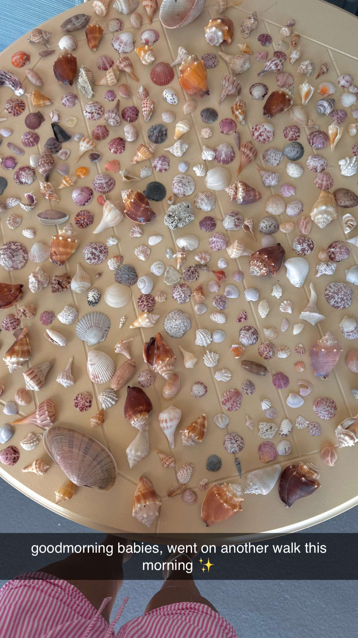 fionamaefit snapchat image archive image