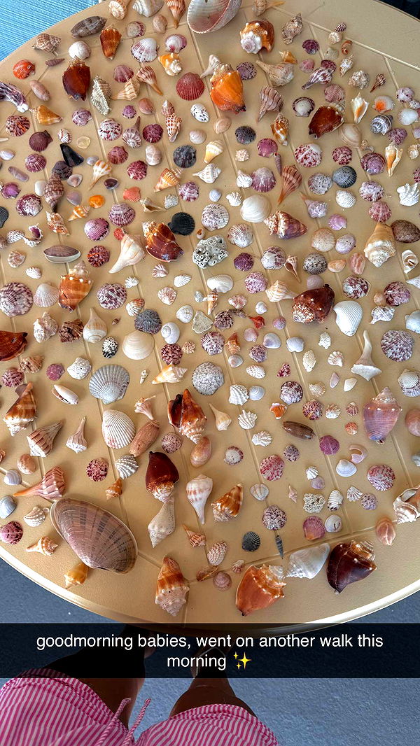 fionamaefit image ~ Altpins