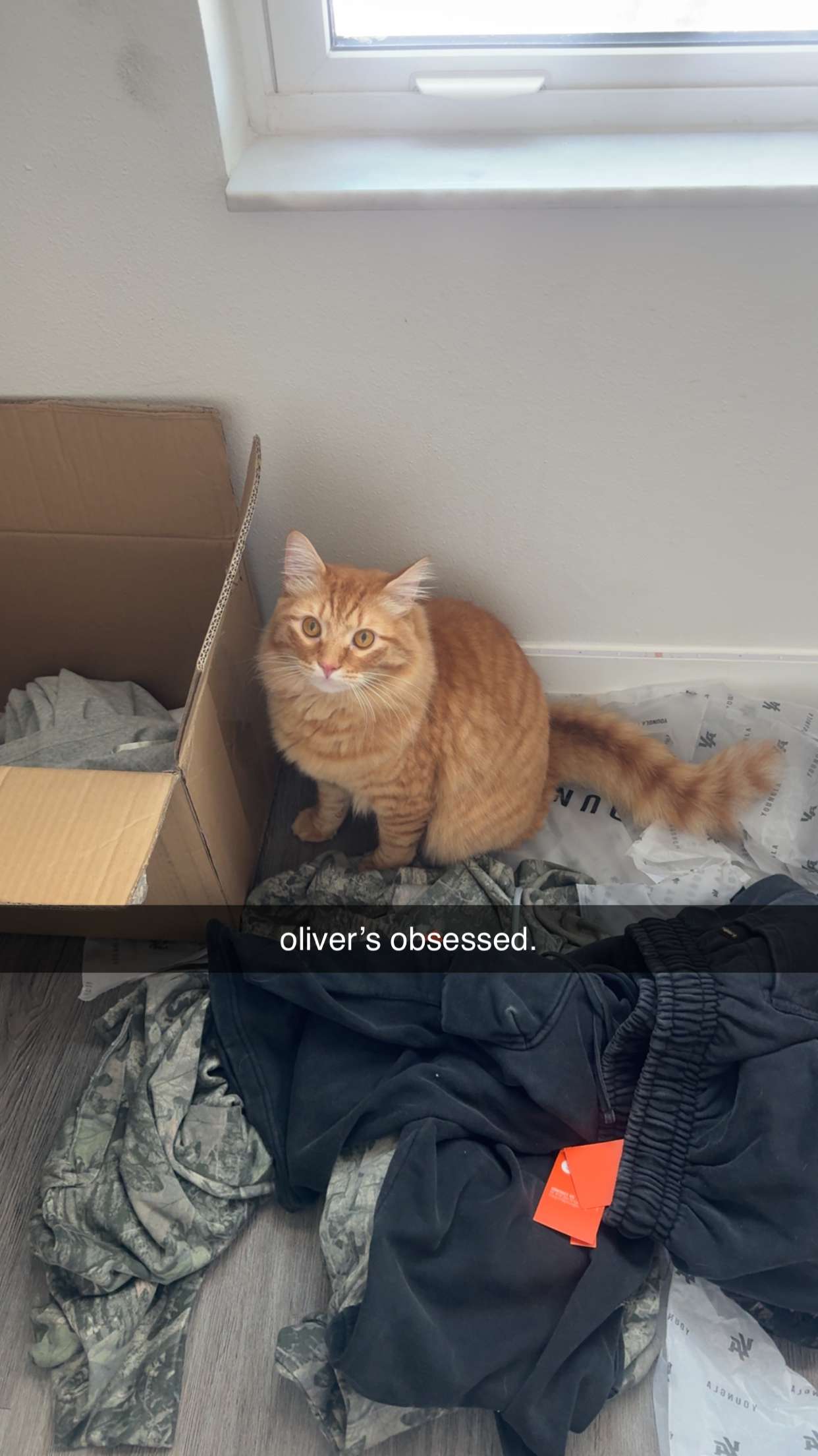 fionamaefit snapchat image archive image