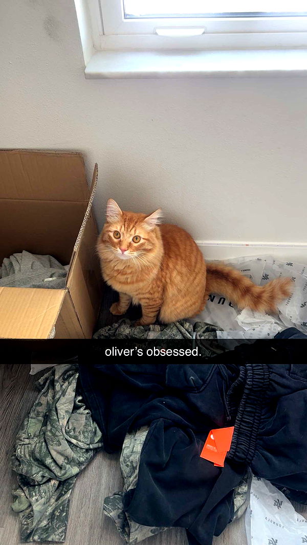 fionamaefit image ~ Altpins