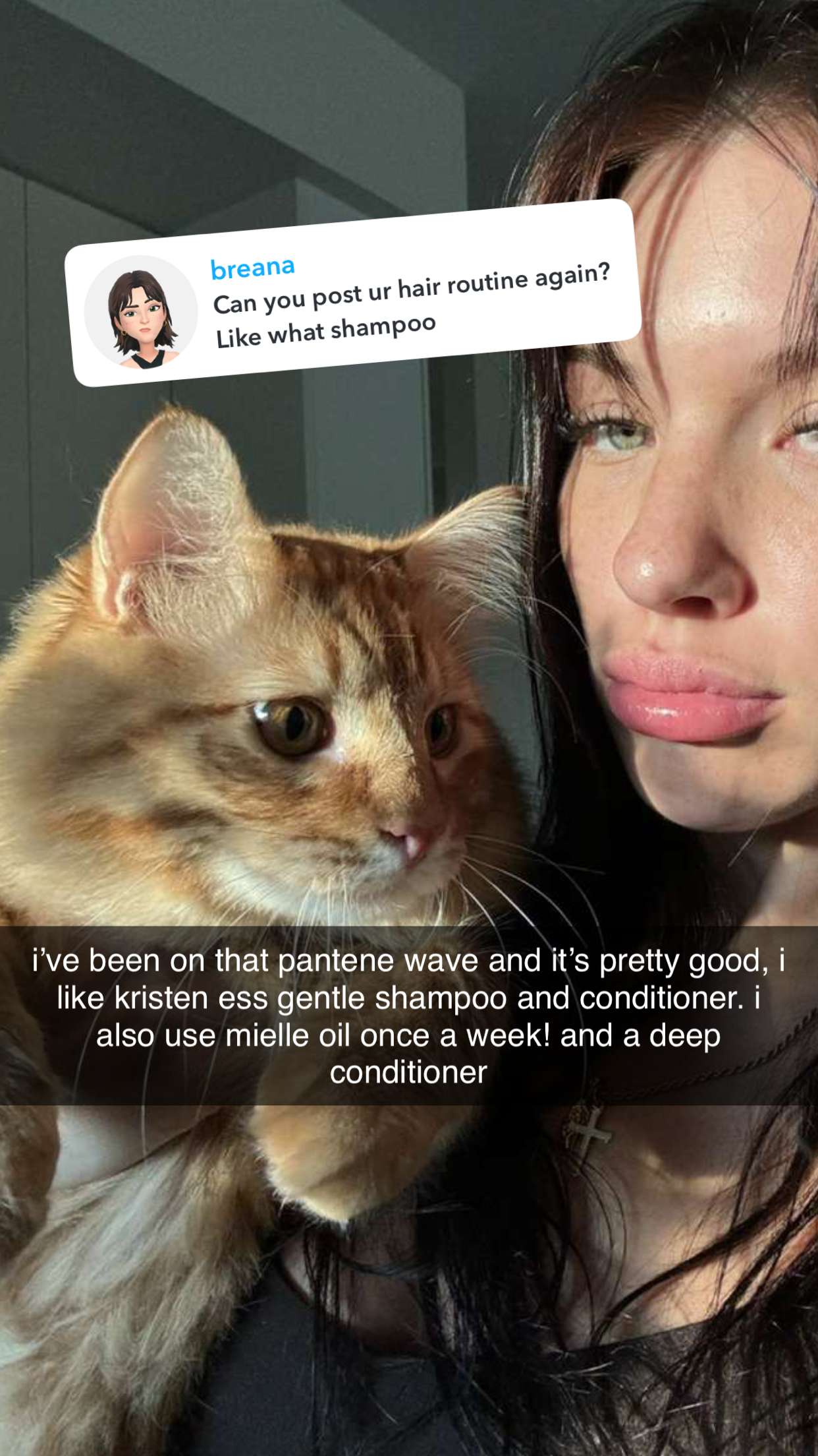 fionamaefit snapchat image archive image