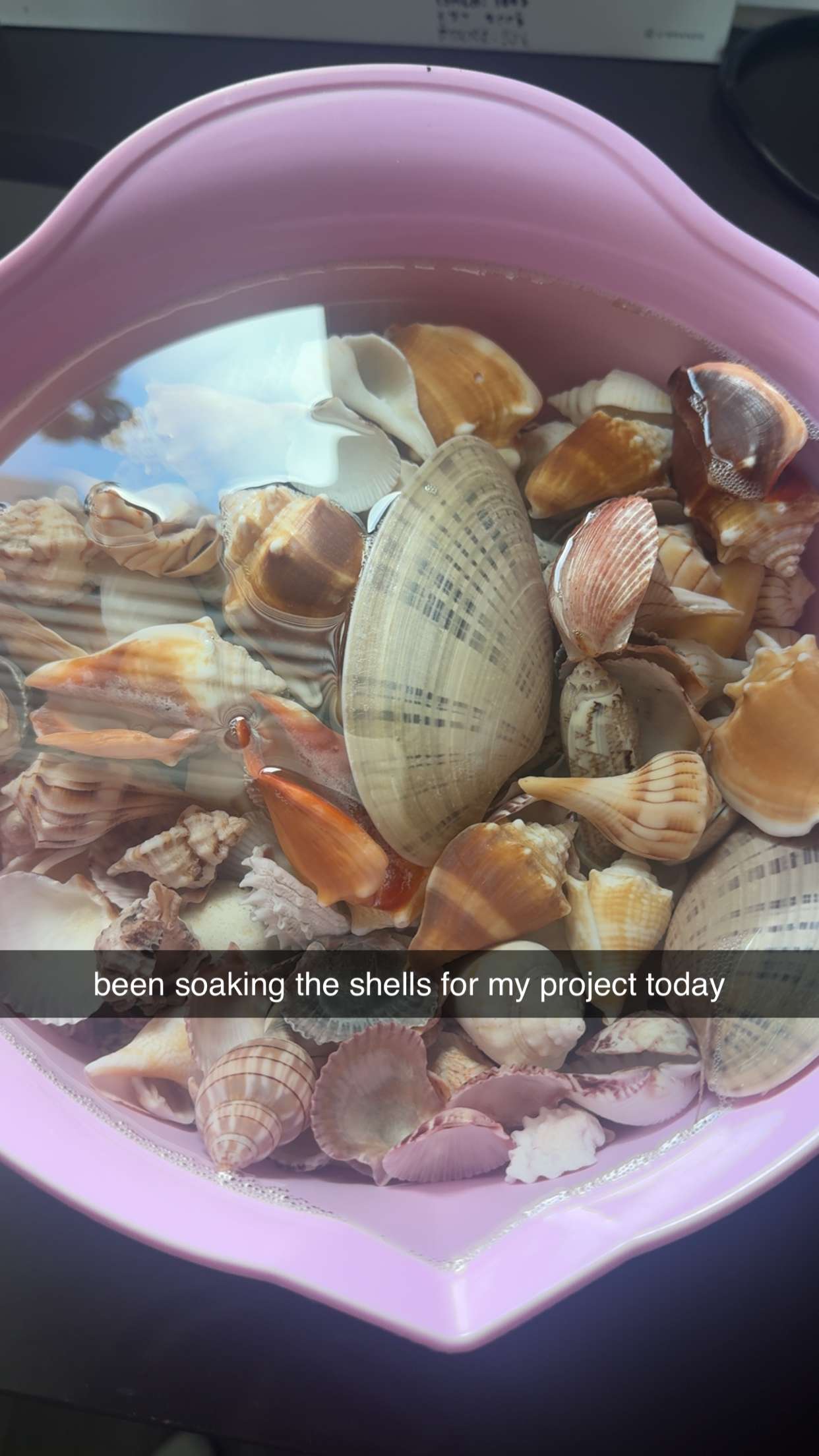 fionamaefit snapchat image archive image