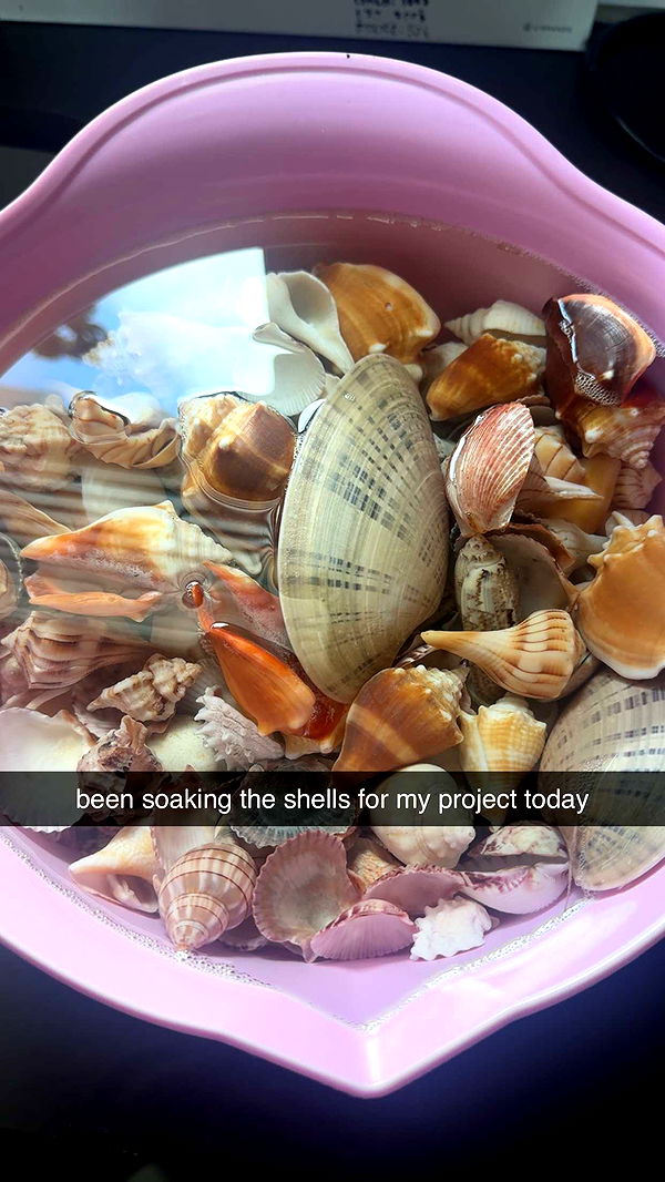 fionamaefit image ~ Altpins