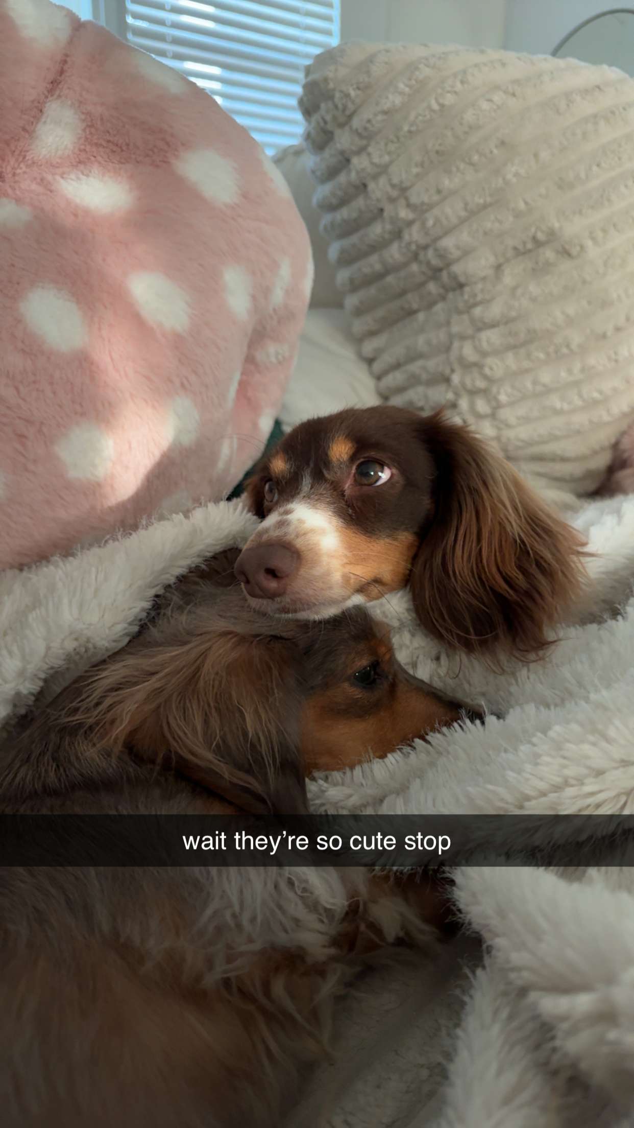 fionamaefit snapchat image archive image