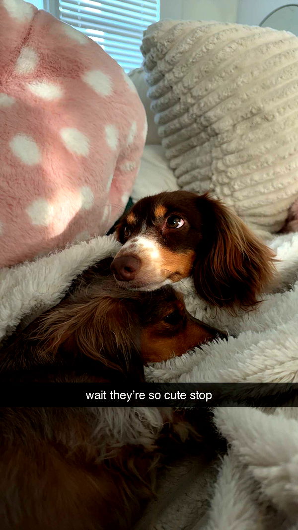 fionamaefit image ~ Altpins