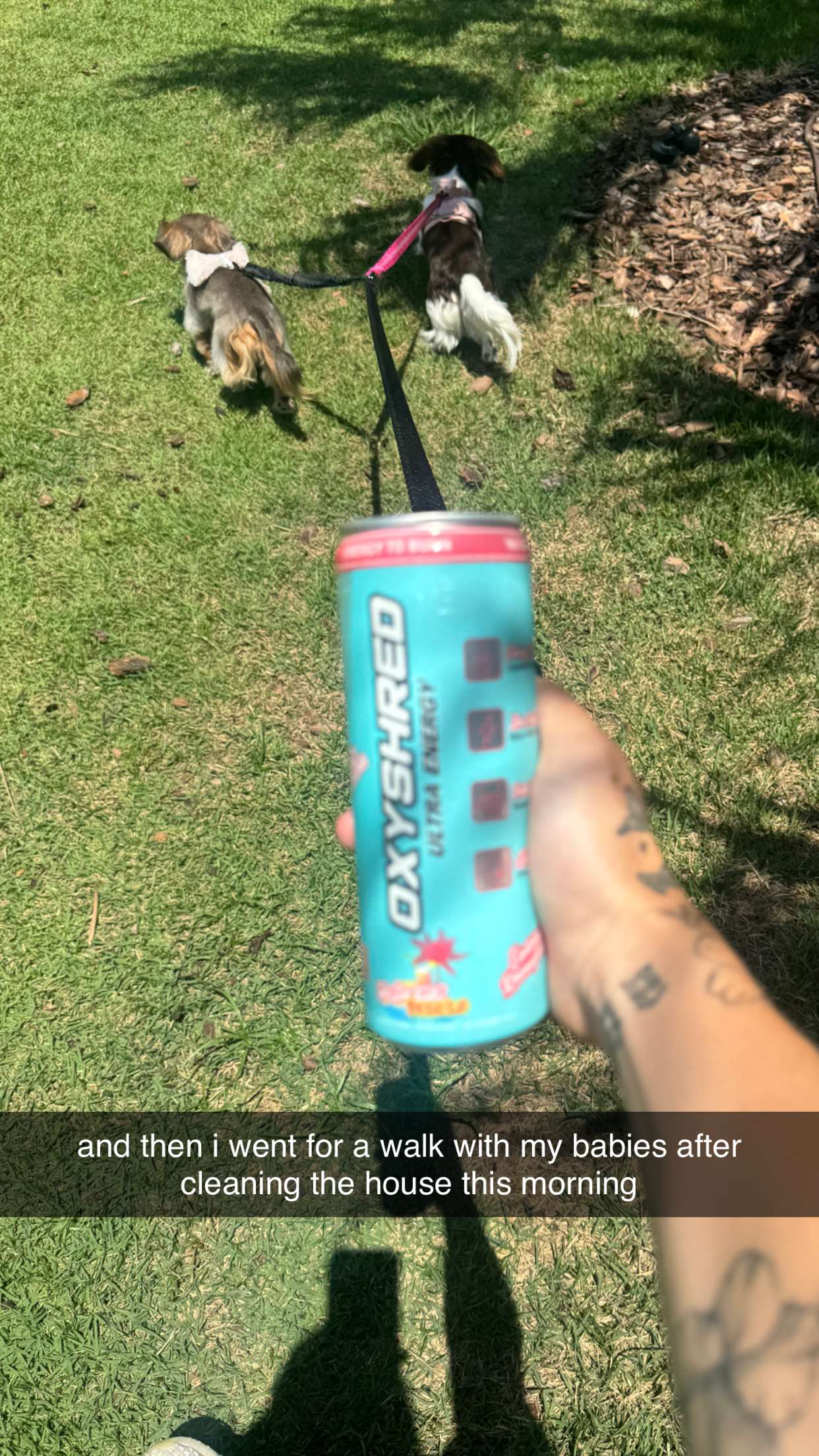 fionamaefit snapchat image archive image