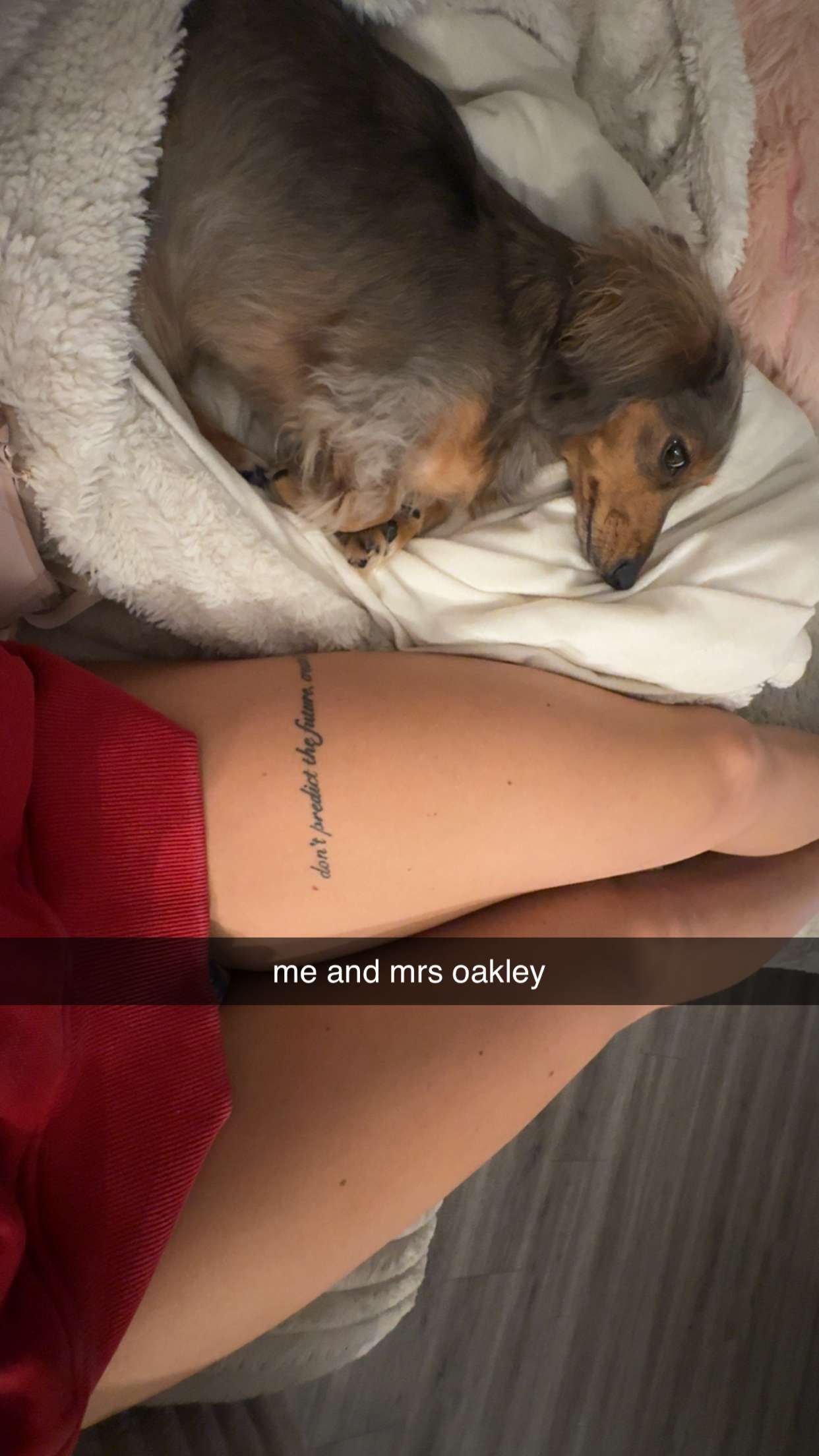 fionamaefit snapchat image archive image